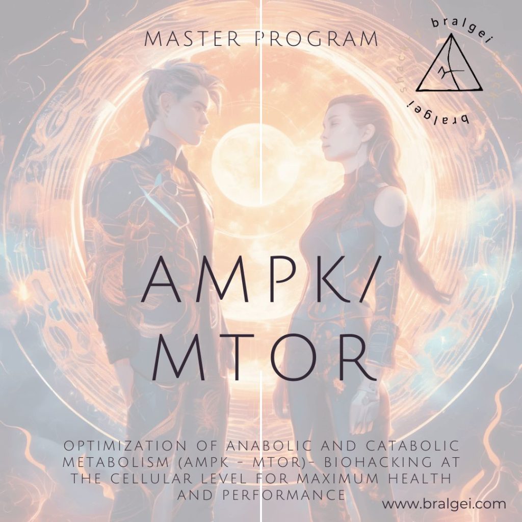 AMPKMtor-Master-Program_04-compressed